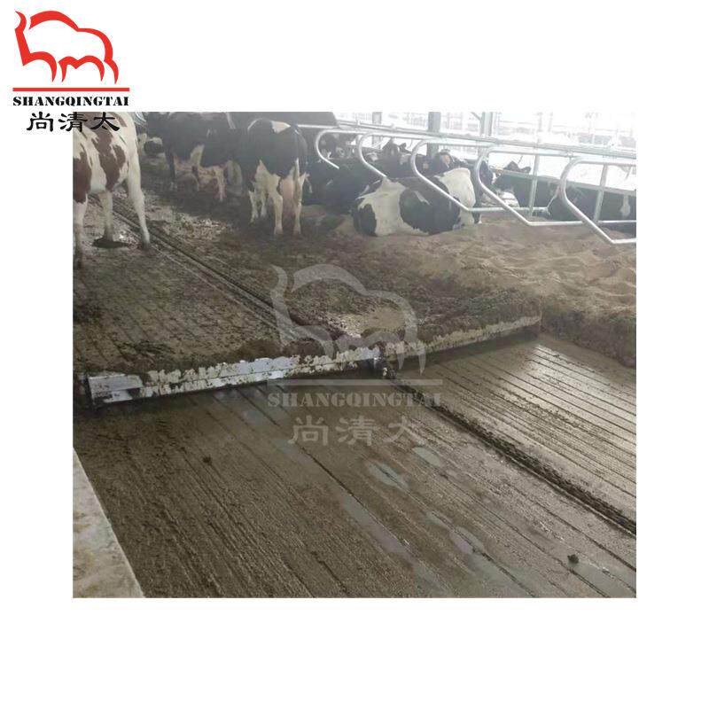 牛场清粪系统牛刮粪板自动清理牛场粪便系统畜牧养殖设备