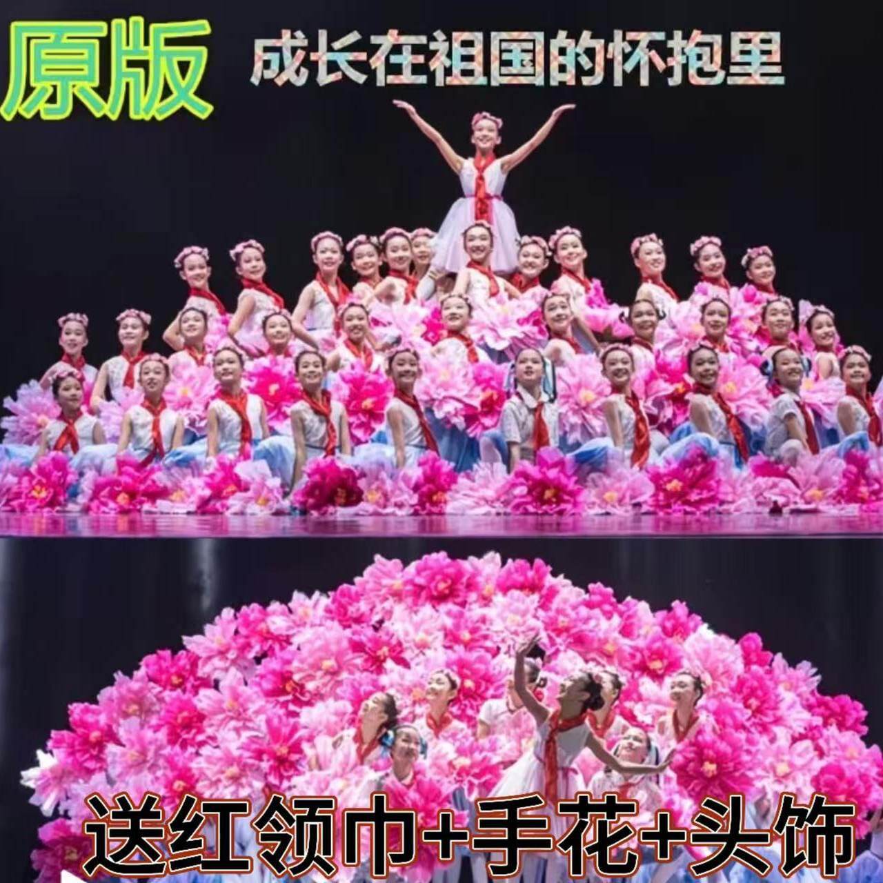 第十一届小荷风采成长在祖国的怀抱里蓬蓬裙少儿舞蹈合唱演出服