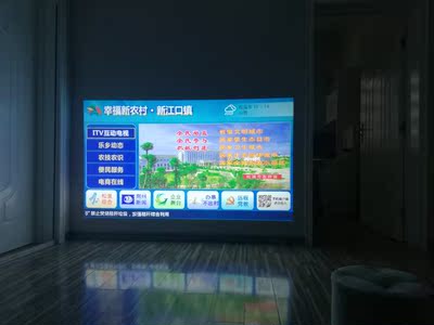 奥图码与坚果T9哪个口碑好，评测揭秘真相