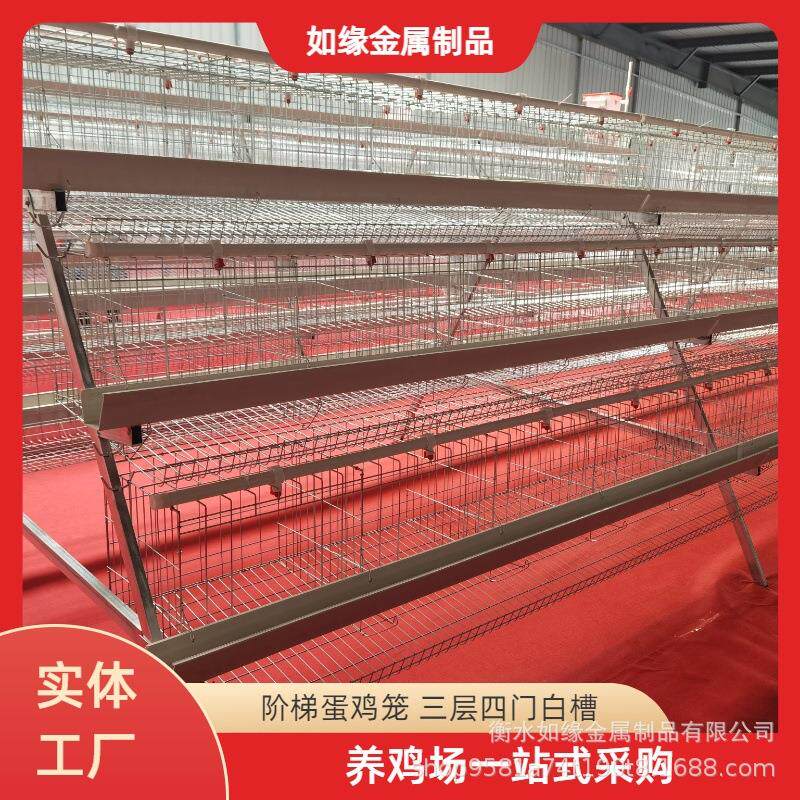 三层四门阶梯蛋鸡笼白色食槽养殖场规模化养鸡笼具镀锌加粗鸡笼