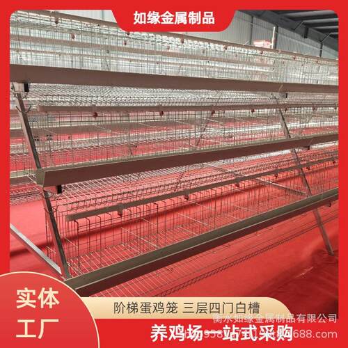三层四门阶梯蛋鸡笼白色食槽养殖场规模化养鸡笼具镀锌加粗鸡笼