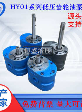 HY01-50×25 CBJ-5×10 HY01-100×25杭州平面磨床齿轮液压输油泵