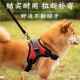 狗狗牵引绳背式 胸背带小心中大犬遛狗SOJ毛金拉布拉多泰迪狗链子