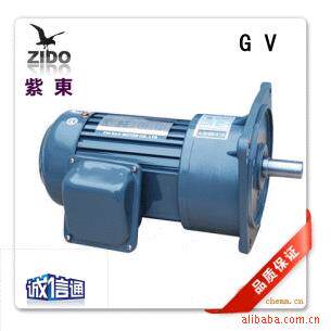 厂价直销 GV32型立式单相220V 三相380V齿轮减速马达可调速