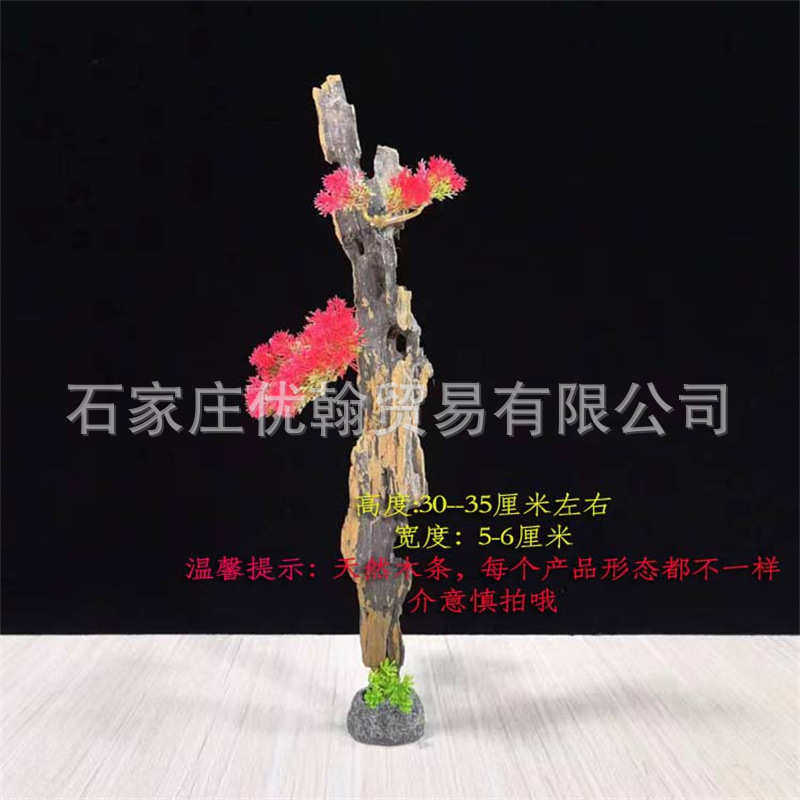 天然树枝刺身姿造根雕创意摆件花藤迎客松造型可弯曲干树枝,厨房/烹饪用具,寿司套件/料理套件,淘宝优惠券,粉丝福利购,淘宝优惠卷