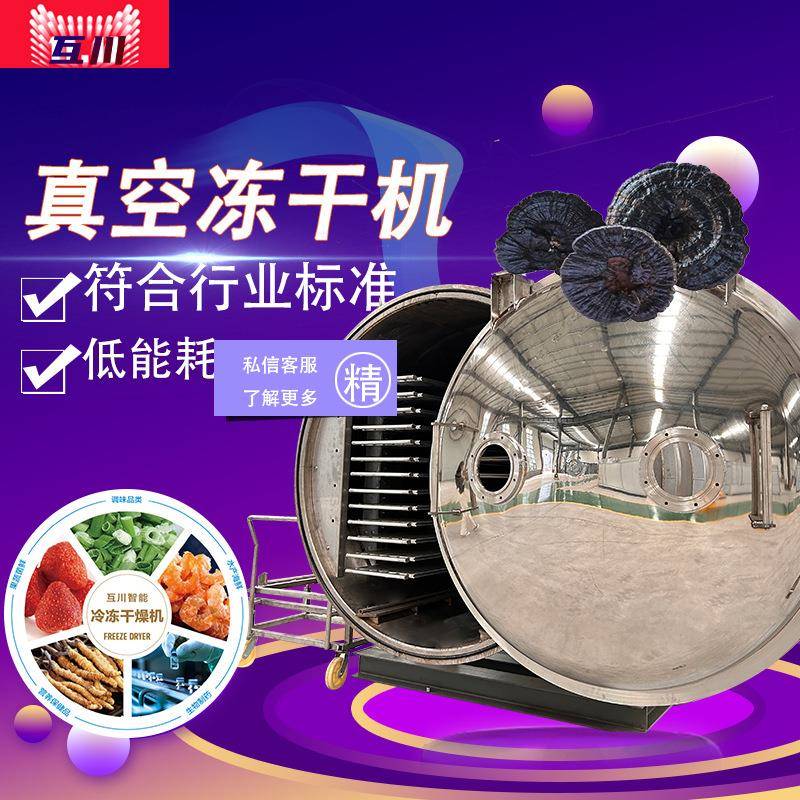 驼奶奶粉脱水冻干机草莓梨片冻干设备中小型100平真空冷冻干燥机