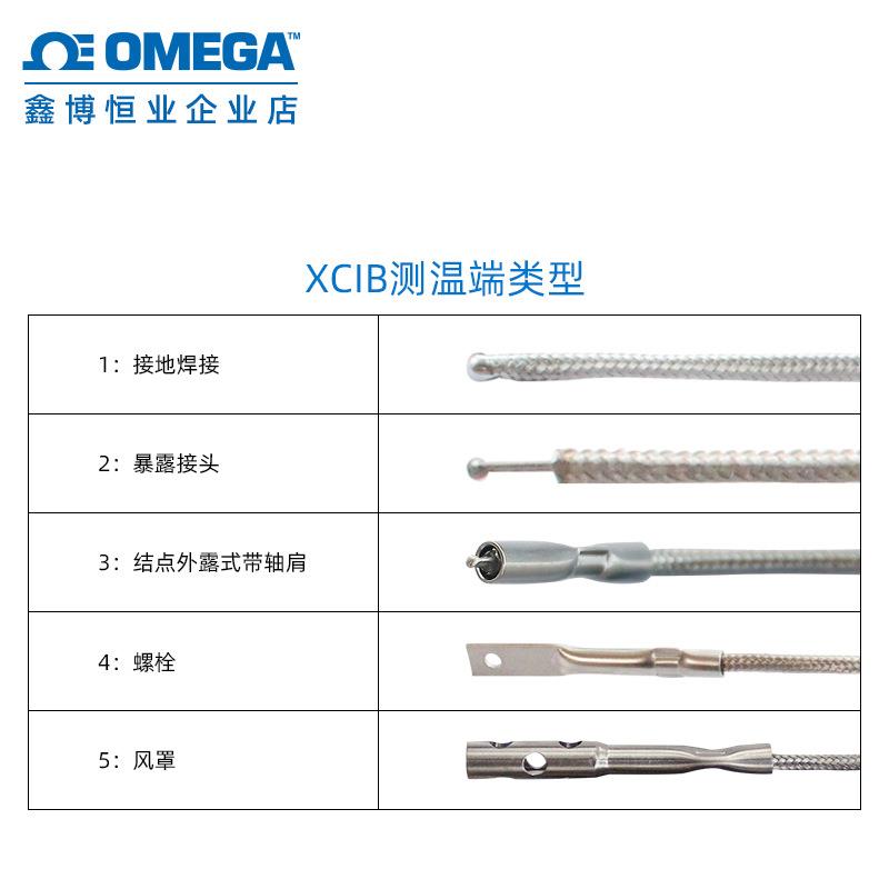 XC?IB-J-2-4-20XCIB-J-e2-1-3热电偶线奥米OMEGA/奥佳Iconl外部编