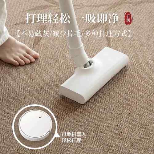 新中式地毯书客厅加厚房隔音qr241101卧室床边沙发茶几免毯洗脏防