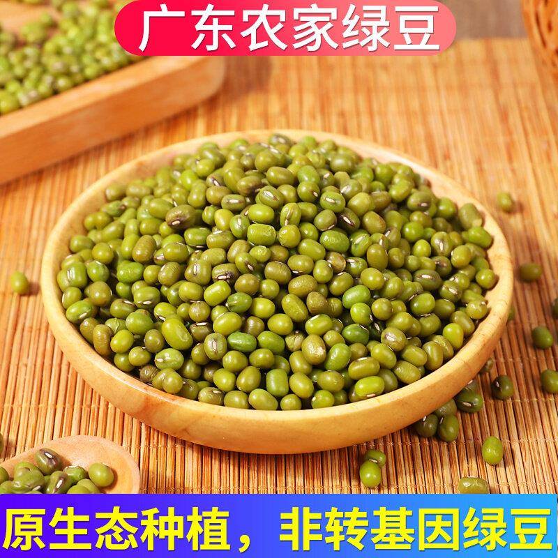2斤新鲜绿豆非转基因广东农家小绿豆发生豆芽种子煮粥汤专用新货