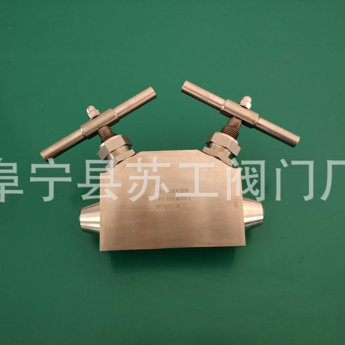 一体式双联针阀 双联截止阀 SS HNV-45LB-MTB28-G