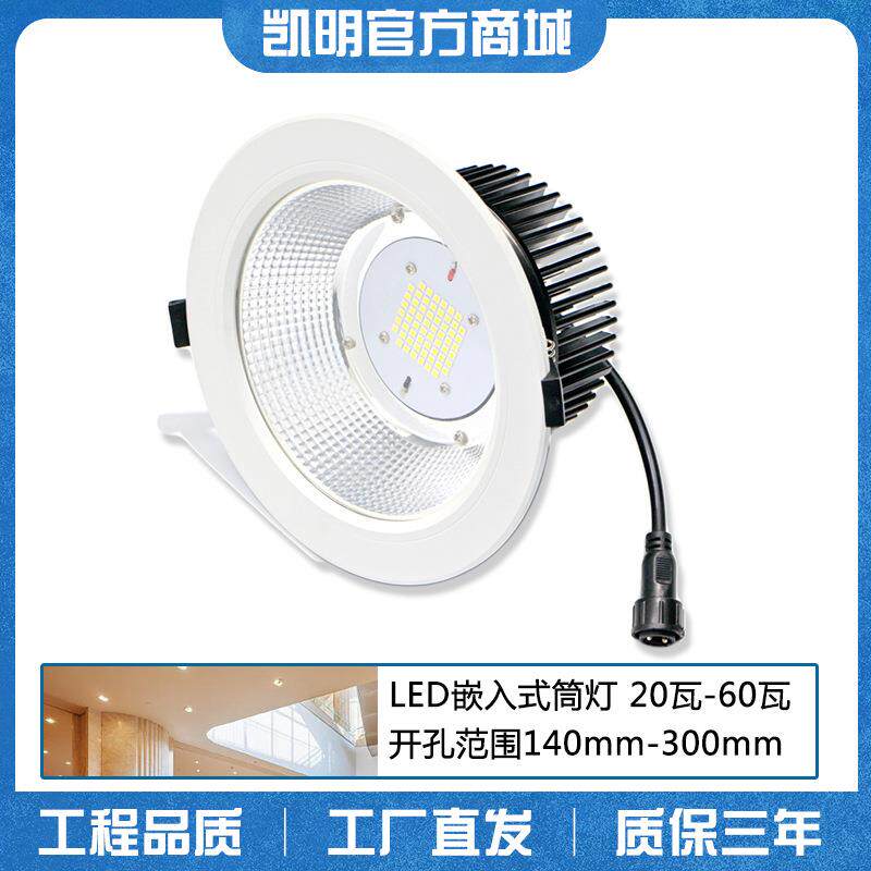 小功率天花灯40w 铝扣板天花筒灯 正白光筒射灯