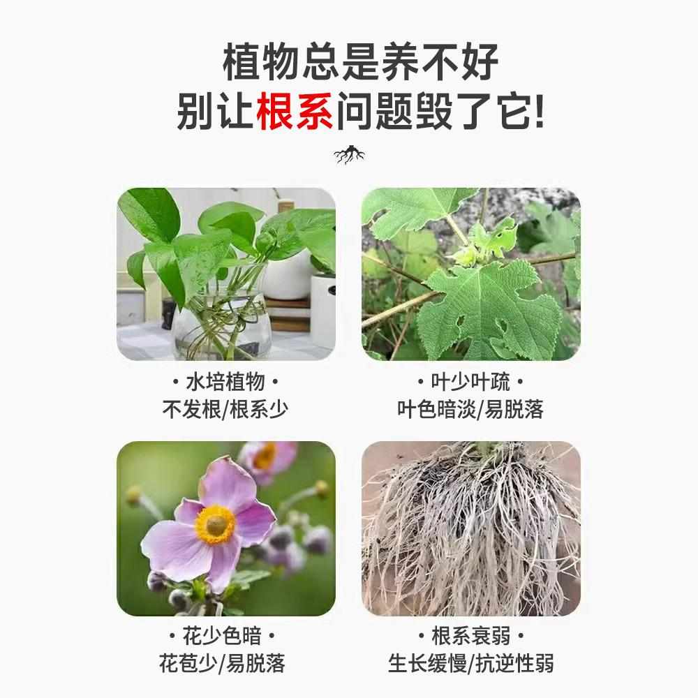 花肥家用通用型植物花卉营养液盆栽水培植物鲜花绿植多肉兰花肥料
