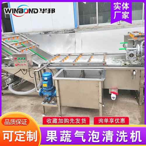 全自动不锈钢WIO清洗机 净菜加工设备型蔬菜清洗大机 提子清洗 机