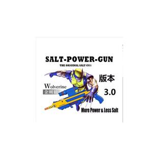 Gun Fly Salt Eradication 灭蝇苍蝇盐枪 Insect