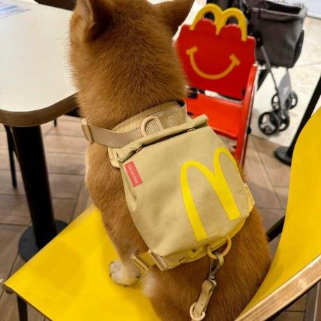 狗狗自背包宠物柴犬外出书包零食便携包泰迪中小型犬牵引绳胸背带