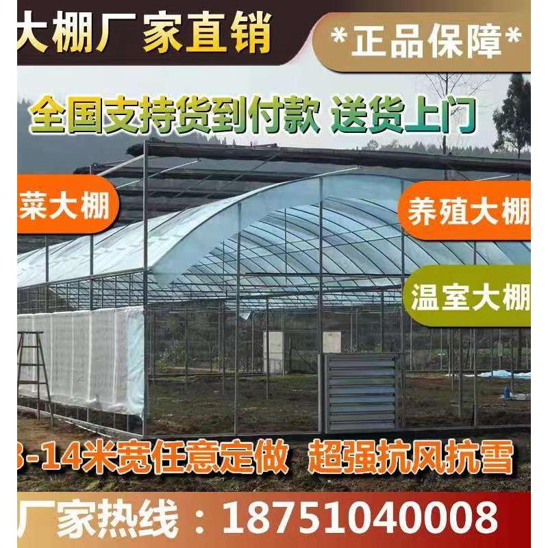 大棚骨架钢管蔬菜养殖种植简易薄膜温室连动大棚椭圆管花卉圆管棚