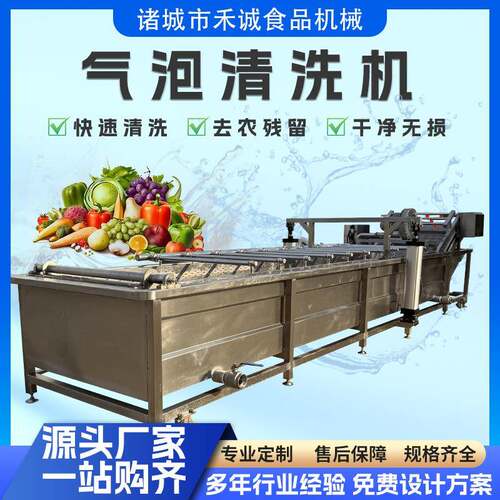 全自动果蔬气泡清洗机竹笋贡菜气泡清洗设备山野菜蕨菜气泡清洗机