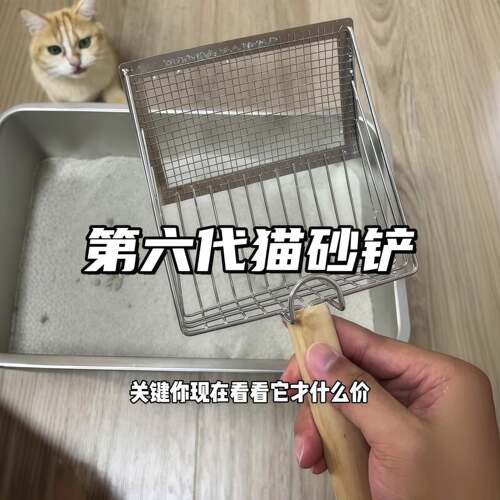 猫砂铲细孔一不锈钢专用铲屎子猫咪猫屎豆腐二合矿砂大号砂铲神器