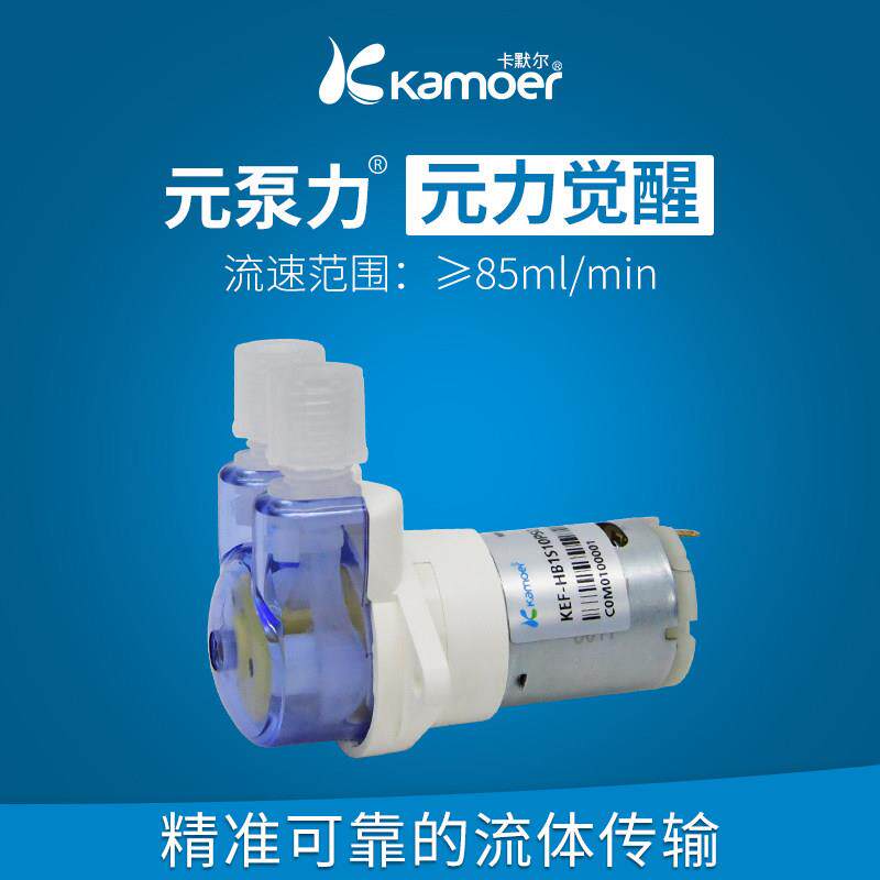 卡默尔蠕动泵12v微型抽水泵电动自吸泵直流循环水帮浦迷你齿轮小