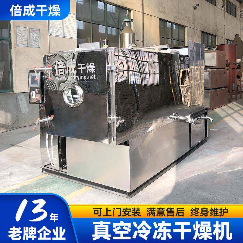 人参黄芪低温冷冻设备鸡胸肉脱水冻干机水果片真空冷冻干燥机