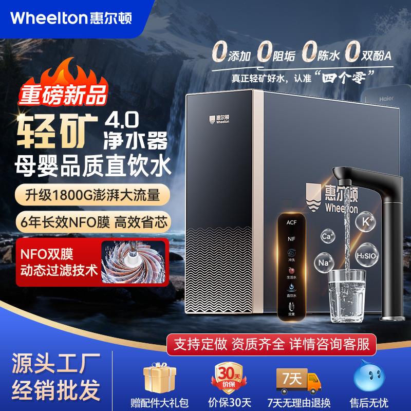 惠尔顿家用净饮机净水机双水直饮1800G反渗透厨下式净水器
