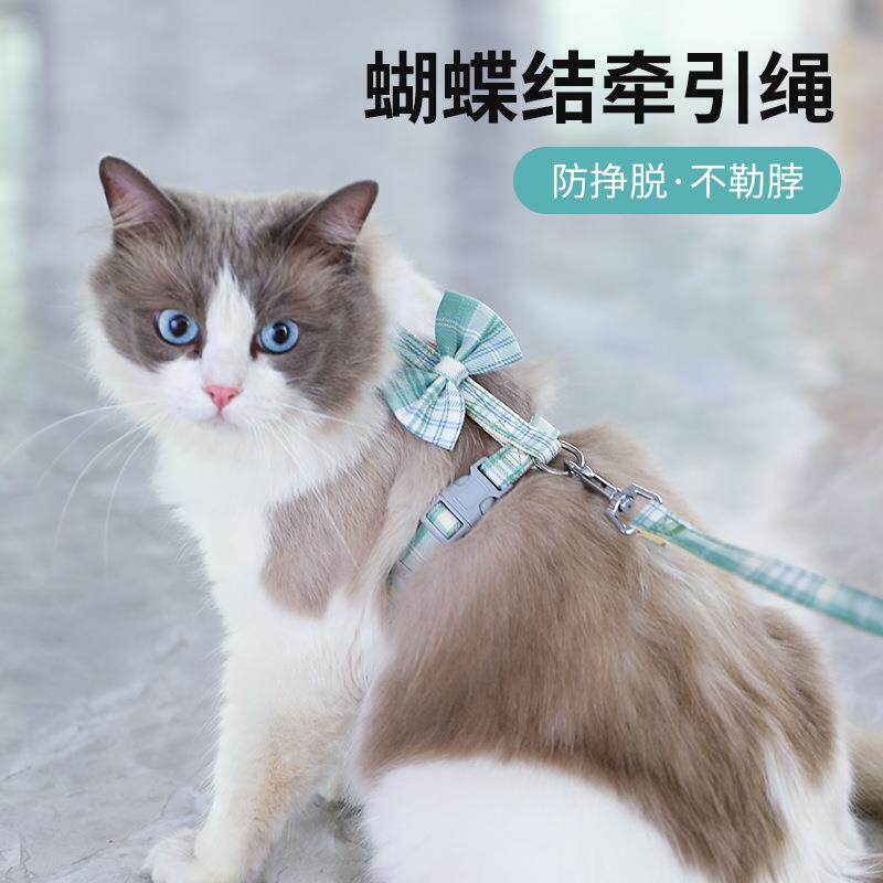 夏季猫咪牵引绳防挣脱工字遛猫专用绳可爱猫咪背带溜猫链厂家