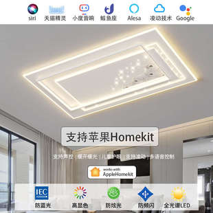 简约客厅灯吸顶led卧室灯全光谱全网通智能灯具 严选 2025新款