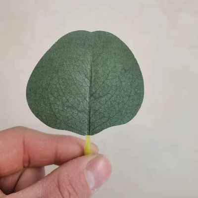仿真叶子单片Z-48尤加树仿叶尤利叶加真壁挂藤条叶桉子婚庆路引布