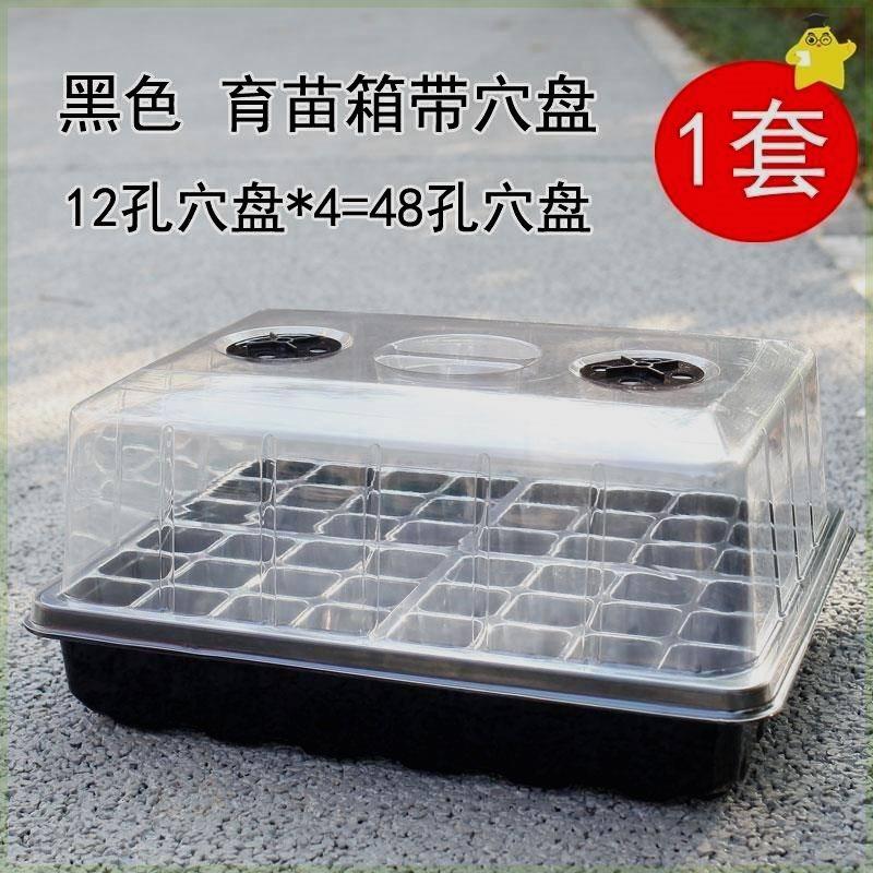 闷养罩育苗花盆育苗盒育苗托盘培育苗盆多肉扦插专用盆种菜闷养箱