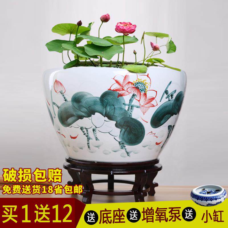 景德镇陶瓷鱼缸水族箱 大号碗莲睡莲花盆荷花金鱼缸客厅乌龟缸