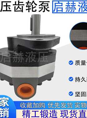 高液压CBFC转向齿轮油泵CB-FC10/12/16/20/25/18/32/40/50/63/FL