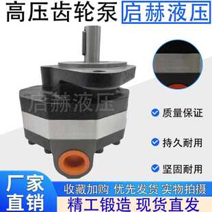 高液压CBFC转向齿轮油泵CB-FC10/12/16/20/25/18/32/40/50/63/FL