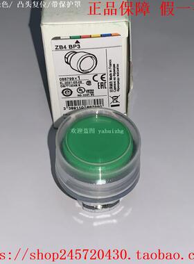 ZB4BP1 ZB4BP3 ZB4BP4 ZB4BP5 ZB4BP6 施耐德凸头按钮头