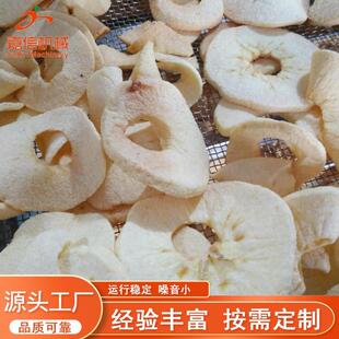 苹果脆片真空膨化机全自动真空果蔬干燥设备苹果真空闪蒸机厂家