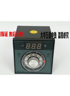 红菱燃气电烤箱烘炉温控器温控表温度控制器TEH96-92001