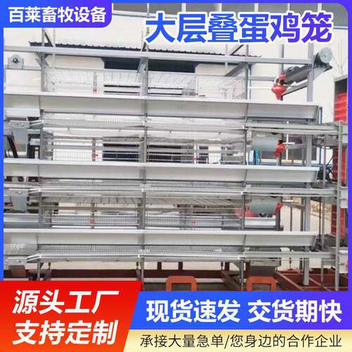 大层叠蛋鸡笼阶梯蛋鸡笼全自动捡蛋全自动喂料全自动清粪鸡笼