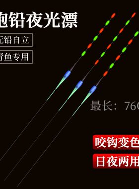无铅自立夜光鱼漂两用醒目浮漂