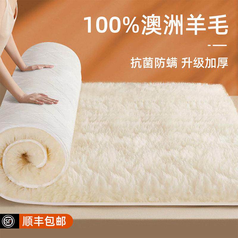 羊毛床垫家用卧室软垫冬季加厚保暖羊羔绒毛毯单人冬天垫被床褥子