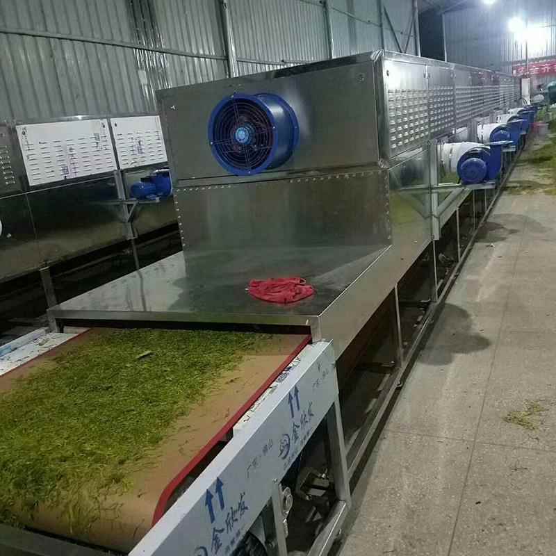 厂微家全自动波设备隧道QH-20PW-式微燥带波式干机微波设备