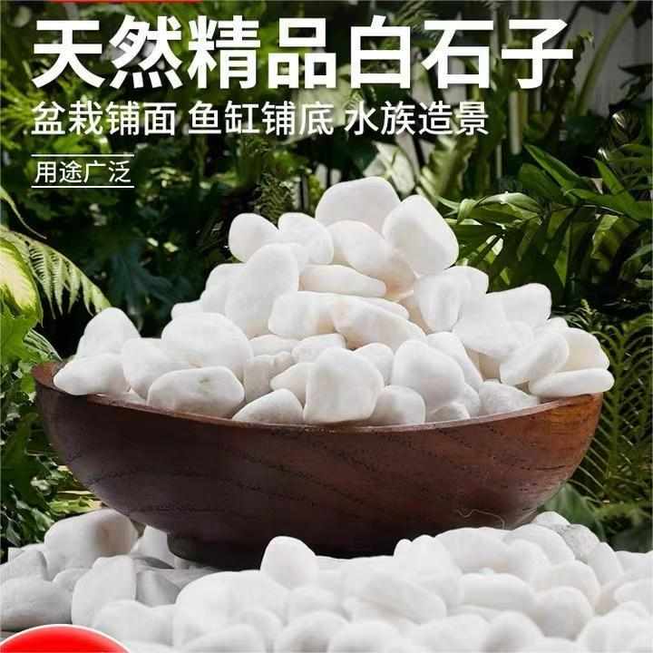 湖北纯白色鹅卵石雨花石原石庭院铺地白石子鱼缸造景天然铺面石子