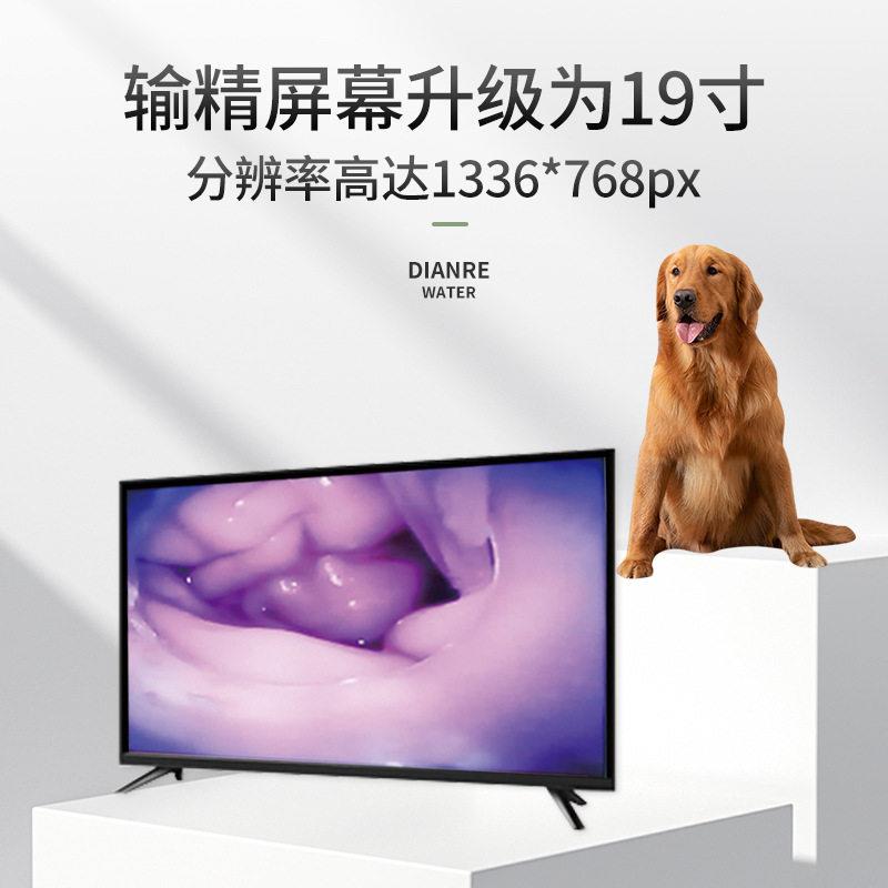 人工授精犬用器械台式输精枪系统狗狗用繁育