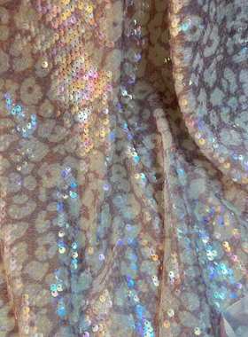 夏季珠片绣服装绣花布 2024定制新款蕾丝高定绣花布sequin fabric