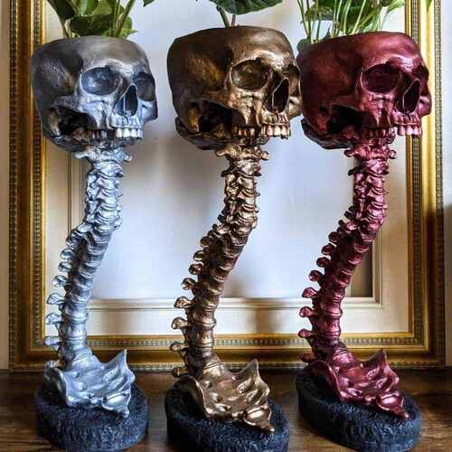 skull&stand planter爆 spine 款 脊椎  花盆骷髅和 sets