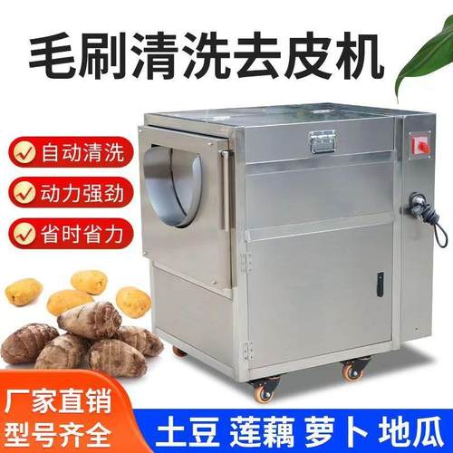 厂家销售毛辊式果蔬清洗去皮机马蹄土豆芋头去皮机清洗脱皮机