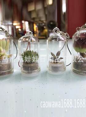 植物钥匙扣手机挂件 多肉小鲜肉玻璃瓶挂件 随身农场