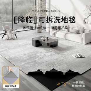 轻奢高级感沙发茶几加厚地垫子 地毯客厅可机洗双层可拆洗2024新款