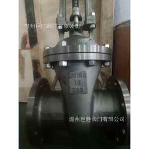 质保一年供应重型钛闸阀介质可走海水Z41H-16TA