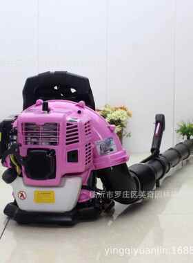 EB430粉色汽油吹风机 园区吹叶机背负式吹雪机公路除尘风力灭火机