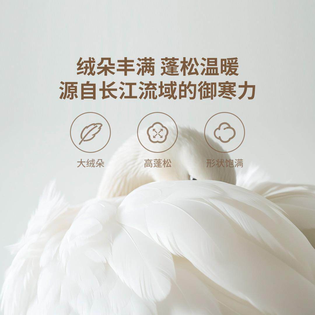 8H白鸭绒冬被抗菌全棉羽绒被子加厚保暖春秋被纯棉被芯四季用