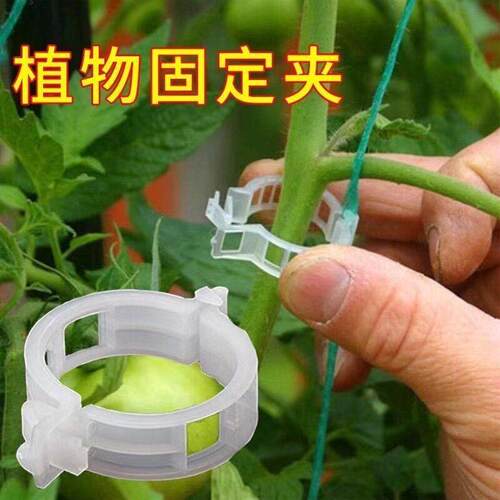 Green plant and fruit tree fixing clips, vine fasteners, see